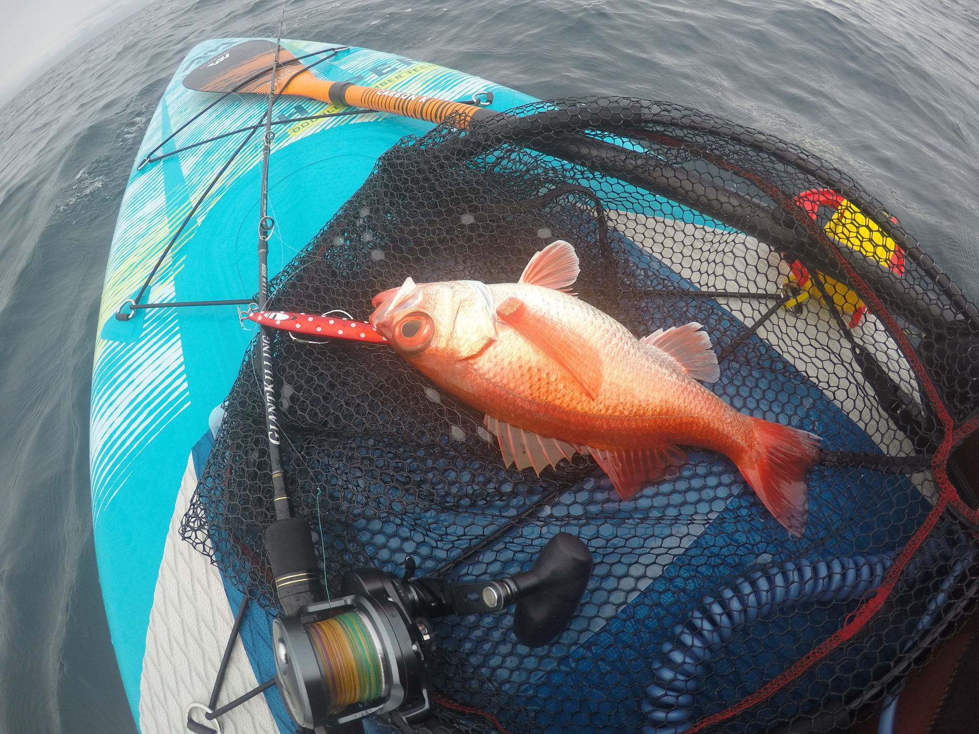 メジャークラフトのジグパラバーチカルロングスロー、このジグが１本あれば何でも釣れる: モチャログ 〜湘南の釣り・SUPフィッシング～